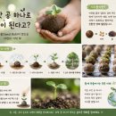 시드(주) | 🌱씨앗 공 하나로 숲이 된다고? 초등 방과후 과학탐구 시드볼 만들기 후기