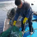 부강수산 이미지