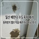 꼭지미장 | 일산 베란다 수도꼭지 제거 동파방지 밸브 막음 배관 마감 시공 후기