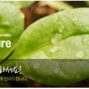 벤처스토리 이미지