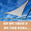 알지니포레스트 이미지