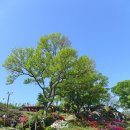 경동탕 | 양산 / 동산(東山) ~ 동산장성(東山長城)둘레길