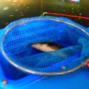 뚜루실내낚시 이미지