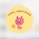 태백의 숨은 보석, 낙타토끼/낙타토끼베이커리 리뷰