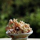 묵지농장 이미지