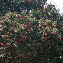 어우러짐 이미지