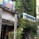 하이도기 | 대학로뮤지컬추천 유기견의 마음을 톺아보다, 예술단체 여람의 &lt;콜리 더 도기&gt;