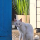 남해 월포펜션 | 경남 남해 혼자가기 좋은 바다 앞 감성 숙소, 달품게스트하우스