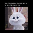 이마트24알영등포아자점 | 11월 일상, 붕어빵이 생각나는 계절이 왔다