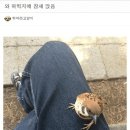 우아림 이미지
