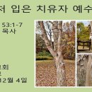 [주일설교] 상처 입은 치유자 예수님 이미지