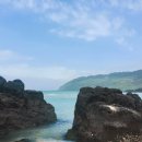 제주더힐링하우스 이미지