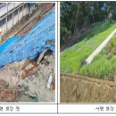 울산양정초등학교 이미지