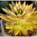 철화농장 이미지