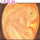 새실산업 Daum카페