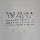 테라부동산중개 이미지