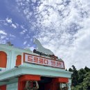 [제주 여행] 아이와 가볼 만한 곳 추천! 동물 먹이 주기부터 짚라인까지, '드르쿰다 in 성산' 완벽 정복기