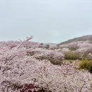 천리스테이풀빌라 이미지