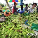 단구1리 이미지