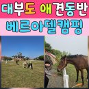 탑플레이스조개밭 | [대부도 캠핑] 특별한 승마장 뷰가 매력적인 경기도애견동반캠핑 후기