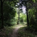 무릉회관 이미지