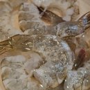 중앙동304 이미지