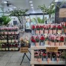 프레져플라워