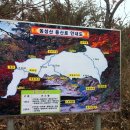 동복면 농협 앞 이미지