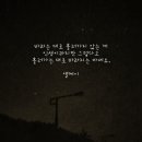 - 엘케이 - 이미지