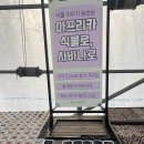 개화농장 | [공지] 내돈내산)) 서울 강서구 개화역 사바나농장 후기｜아프리카식물·리톱스·괴근식물 천국 (개화...