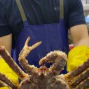 (주)농수산물센터 이미지