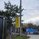 [태안] 나솔사계 촬영지 연포해수욕장 민박집 / 카페 후기