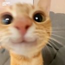 다가오는 토익 멀어지는 집중력