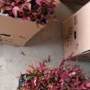 새천년농원 이미지