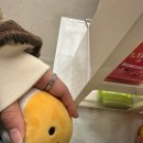 곱하기떡볶이 | 어쩌겠어요 내 맘이 그렇다는데