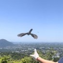 유리보건진료소 이미지