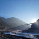 둘리양념통닭 이미지