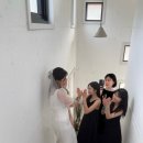 일도우리 이미지