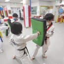 늘품태권도전문도장 이미지