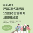 으뜸50안경콘택트(서대문영천시장점) 이미지