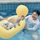 전주펜션 라크로체 이미지