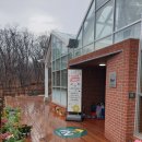 포레스트51