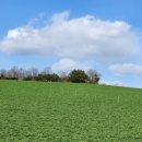 생동한우목장 이미지