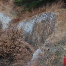임천 가림성 고분군 | [웹북] 부여 가림성 (사적 제4호)