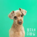뭉치네 미용실 이미지