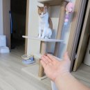 무질서 속의 질서 상 하 이 럽