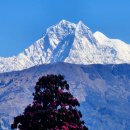 네팔 히말라야 안나푸르나 트레킹~6 이미지