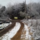 보개주유소 이미지