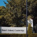 하영약국 이미지