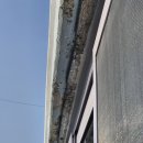 모솜인테리어 이미지